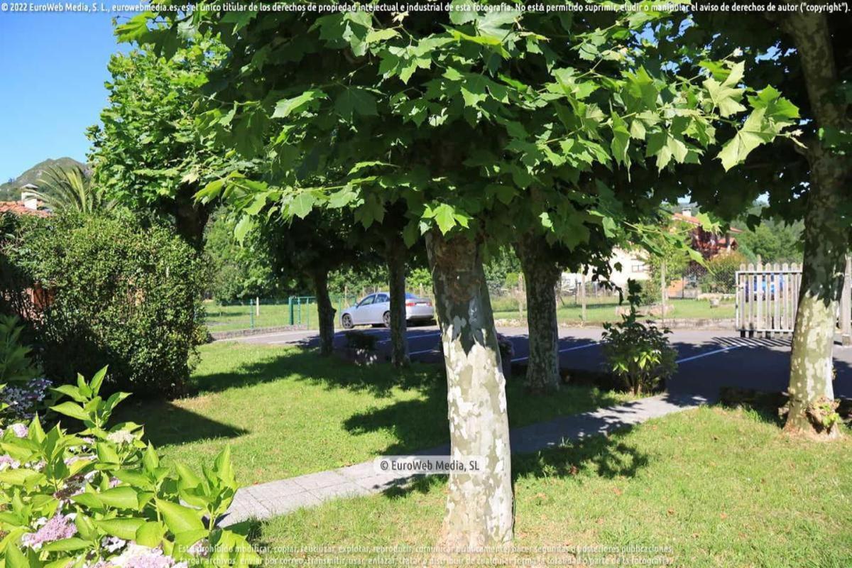 El Puentin Del Sella Con Wifi Y Parking Gratuito Leilighet Onís Eksteriør bilde